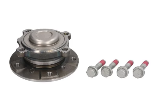 FAG 713 6679 70 Wheel bearing  kit