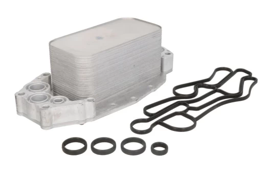 Alyvos radiatorius THERMOTEC D4I006TT