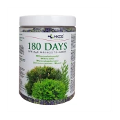 180 DAYS TRĄŠOS SPYGLIUOČIAMS kaina