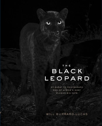Black Leopard