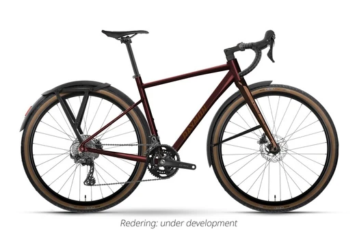 Dviratis Raymon Territ Pro Street 2026 maroonbrown-brick-L