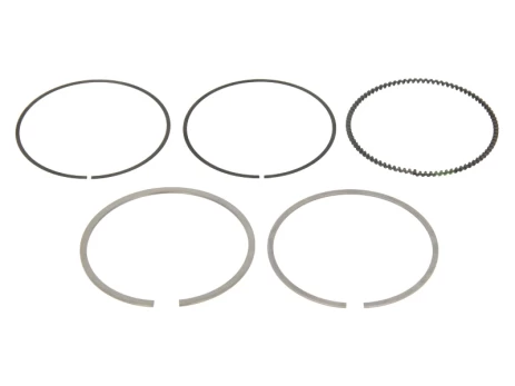 MAHLE 028 10 N0 Piston ring set