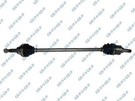 Pusašis GSP 250543