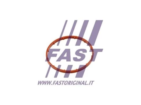 Tarpiklis, vakuuminis siurblys FAST FT50701