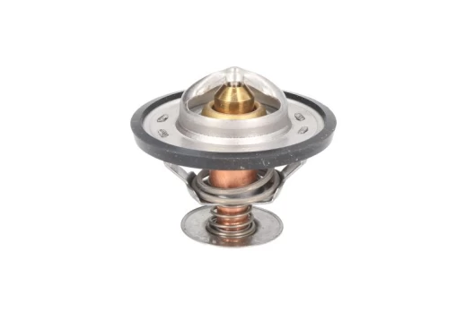 termostatas, aušinimo skystis THERMOTEC D2CA005TT