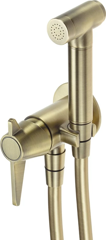 Deante Concealed bidet faucet w/ Bidetta handset