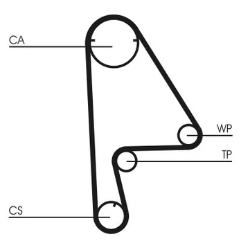 CONTI CT 862 WP1 Timing kit (belt+ pulley+ water pump)
