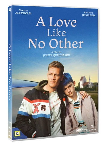 A LOVE LIKE NO OTHER - DVD