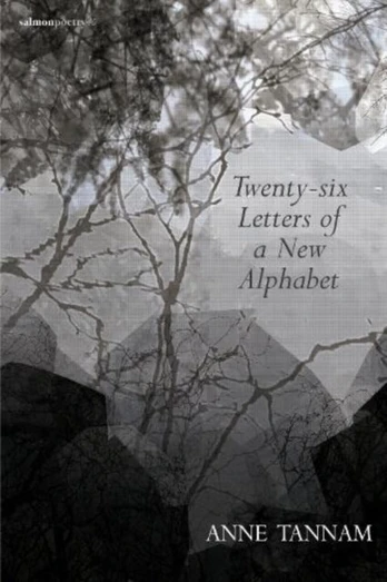 Twenty-six Letters of a New Alphabet