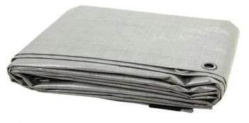 Sustiprintas tentas, sidabro, 6 m x 4 m