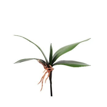 Dirbtiniai orchidėjos lapai, 25 cm