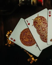 Piracy Luxury žaidimo kortos Theory11 kaina