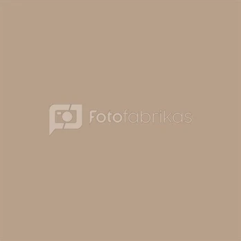 Falcon Eyes Background Paper 0025 Beige 2,75 x 11 m