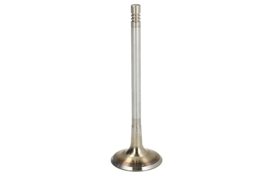 FRECCIA 6900/SCR Inlet valve