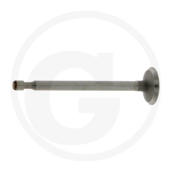 Įsiurbimo vožtuvas Briggs & Stratton 590393
