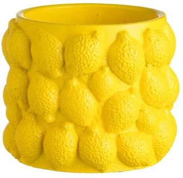 4Living Gėlių vazonas Lemon 16,5 cm