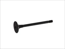 FRECCIA 6239/SNT Inlet valve kaina