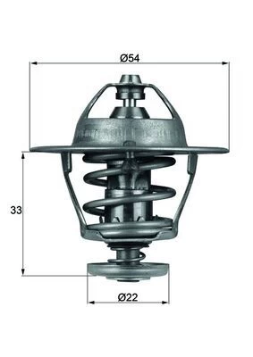 Termostatas, aušinimo skystis MAHLE TX 53 85D
