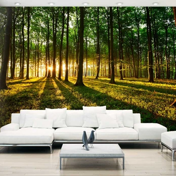 Artgeist Fototapetas - Mystical Morning