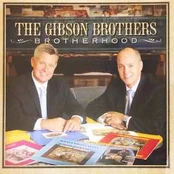 CD The Gibson Brothers* - Brotherhood