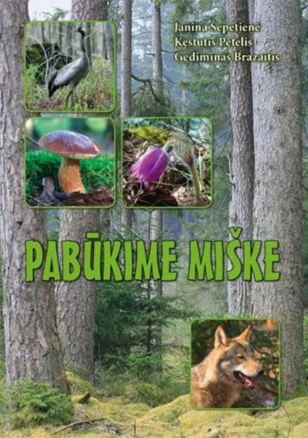 Pabūkime miške
