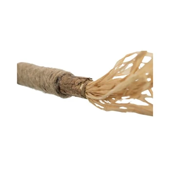 Matatabi lazda su kutais, 24 cm