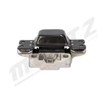 Variklio montavimas MERTZ M-S4970