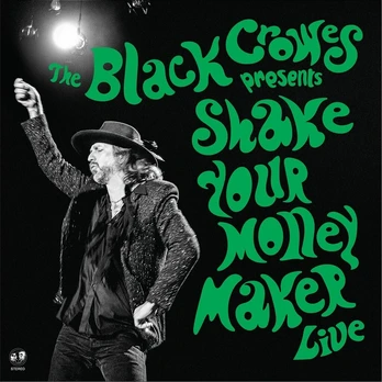 Vinilinė plokštelė Shake Your Money Maker