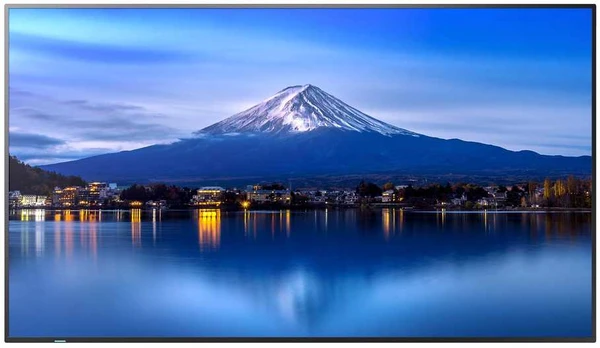 Monitorius Sharpnec P656, 65" P-Series LFD, UHD 4K (3840x2160), Brightness