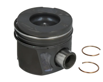 NURAL 87-425600-00 Piston