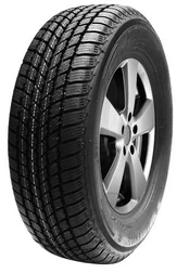 Mastersteel Winter + 225/55 R17 97H