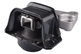 Variklio montavimas TEDGUM 00511754