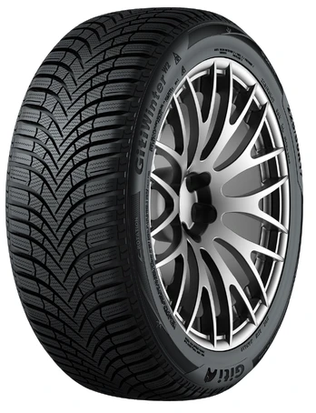 GITI Winter W2 195/65 R15