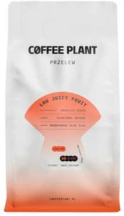 COFFEE PLANT - LOW Juicy Fruit Filter 800g
