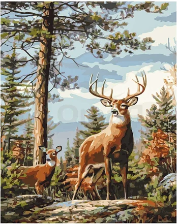 Omaart Forest deer