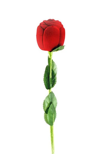 Papuošalų dėžutė