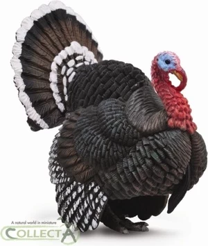Žaislinė figūrėlė Collecta Turkey 88762