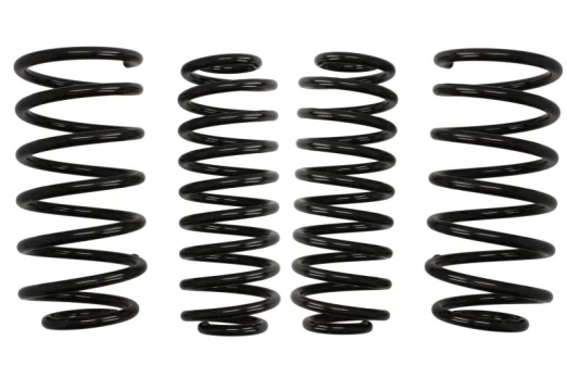 Žeminanti spyruoklė (30/30 mm) Pro-Kit (4 vnt.) E10-85-001-14-22