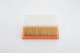 Oro filtras BOSCH 1987429182 kaina