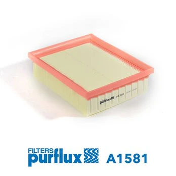 Oro filtras PURFLUX A1581