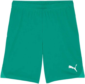 Šortai vyrams Puma Team Goal žalia 705752 05 (S)
