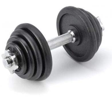 Surenkamas metalinis hantelis Prove 18kg