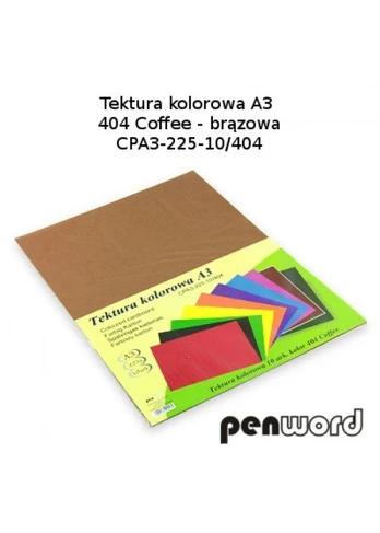 Kartonas A4/ 10l 225g PenWord rudas