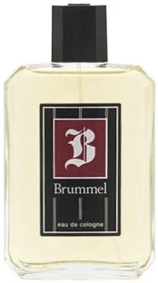 Odekolonas Puig Brummel EDC vyrams, 125 ml kaina