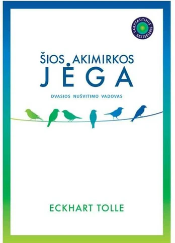 KNYGA ŠIOS AKIMIRKOS JĖGA