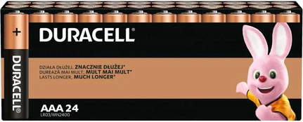 Duracell Baterie basic aaa/lr3 lizdinė plokštelė 24 vnt. kaina