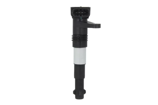 Ritė, uždegimas MAGNETI MARELLI 060717141012