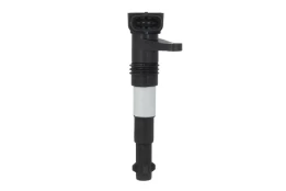 Ritė, uždegimas MAGNETI MARELLI 060717141012 kaina