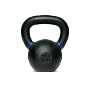 Sangpomm TOORX Pro Cross EVO Kettlebell, 12 kg kaina