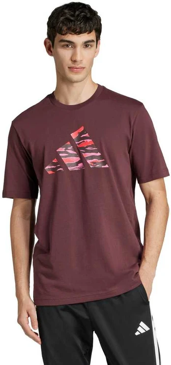 adidas Codes Camo Graphic Marškinėliai M JI6769